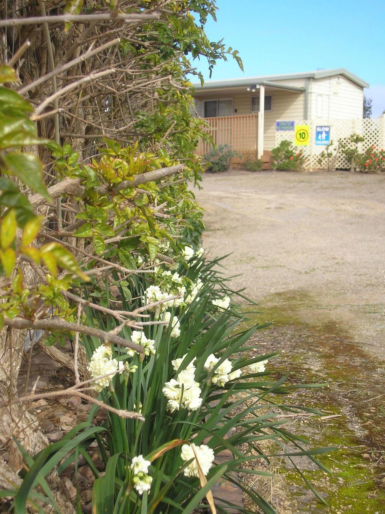 Moonta Bay Accommodation Port Moonta Exteriör bild